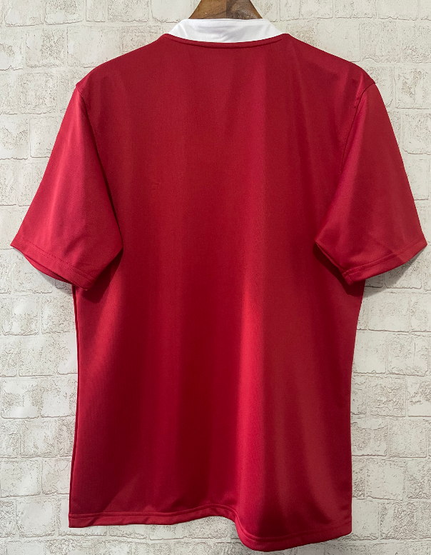 British & Irish Lions 2025 rugby jersey